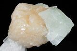 Scolecite Crystal Spray with Apophyllite and Stilbite - India #176830-5